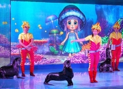 海洋馆演出《奇幻海狮秀》