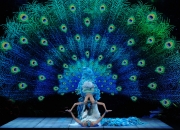 2012央视春晚《雀之恋》