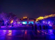 庙会再添新玩法——夜游成重磅项目