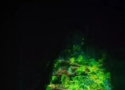 轨道镜显身手：大型神话实景剧《花山》